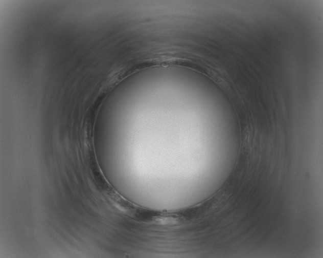 X0000081420220200701120953