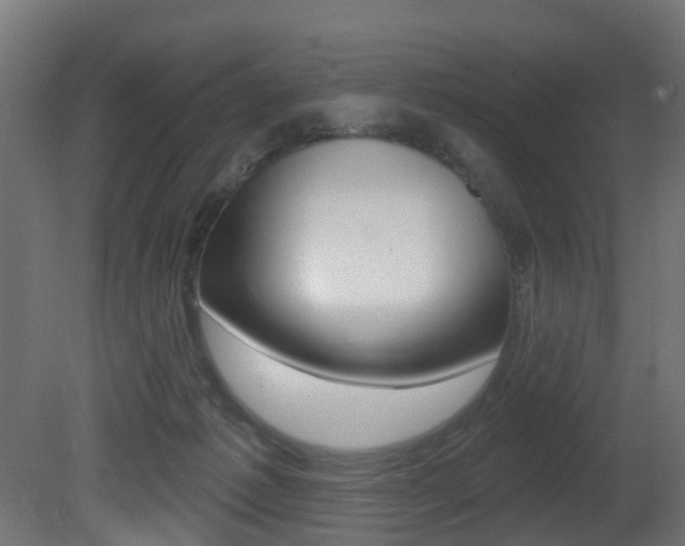 X0000081420221200701120953