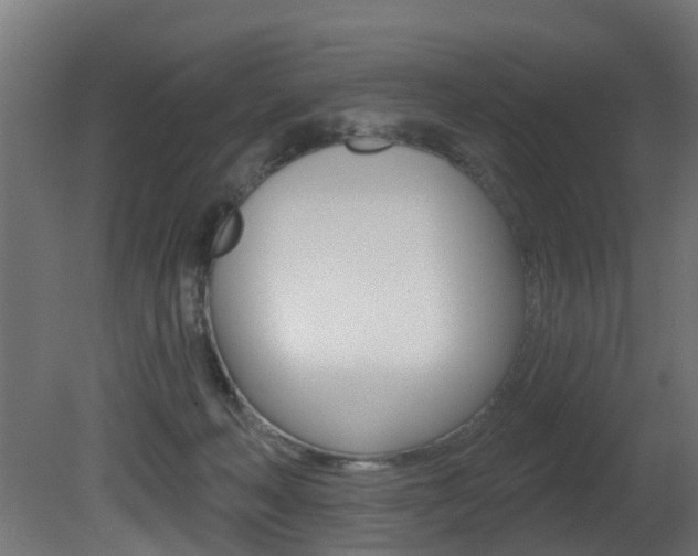 X0000081420222200701120953