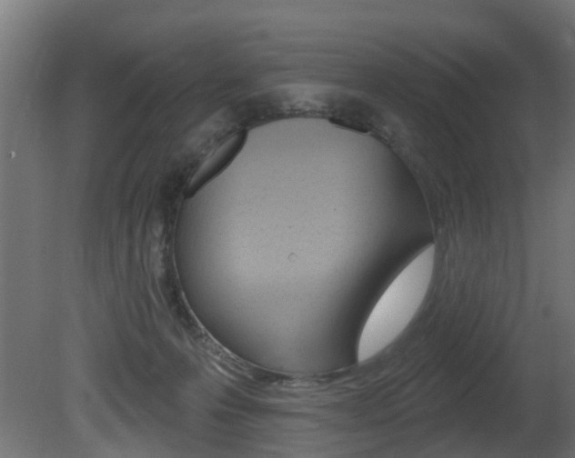 X0000081420223200701120953