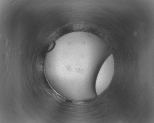 X0000081420226200701120953