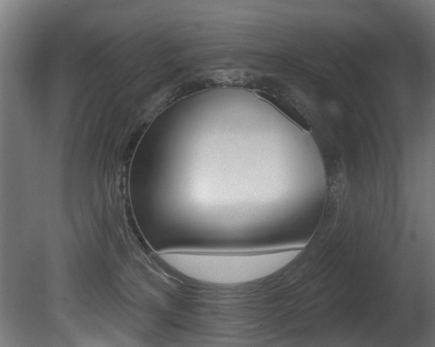 X0000081420233200701120953