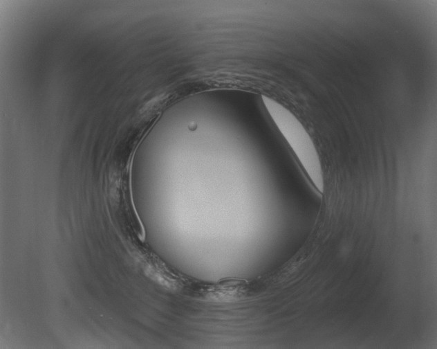 X0000081420235200701120953