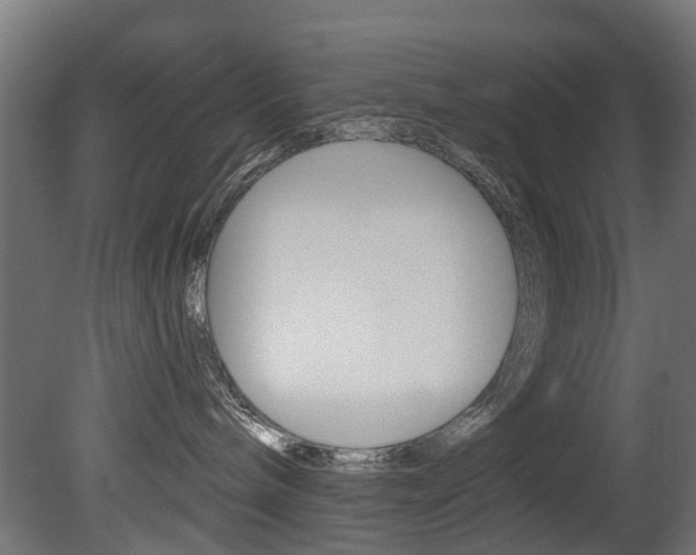 X0000081420240200701120953