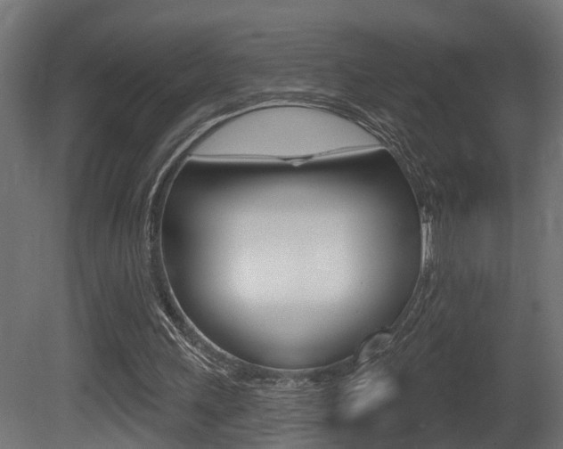 X0000081420243200701120952