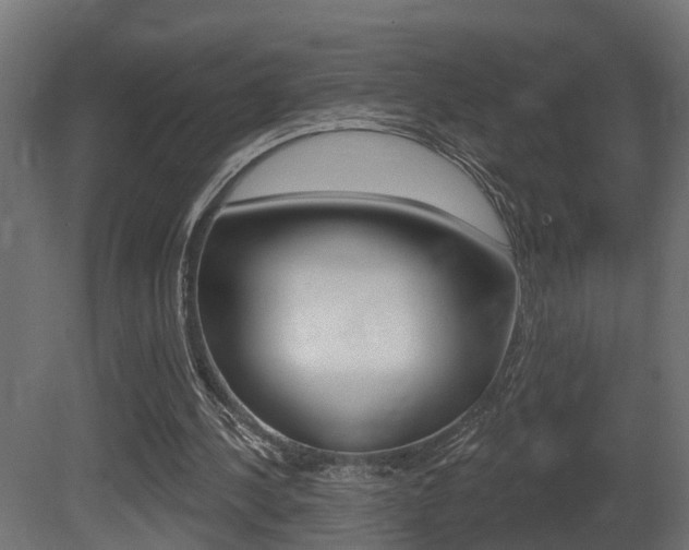 X0000081420244200701120952