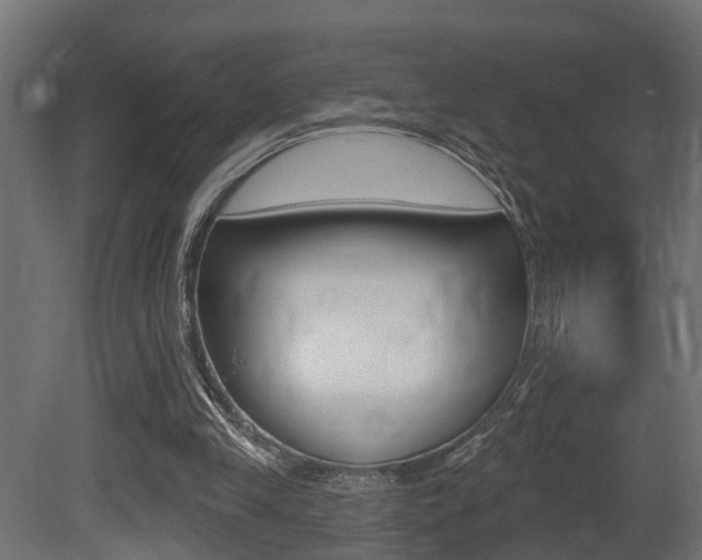 X0000081420245200701120952