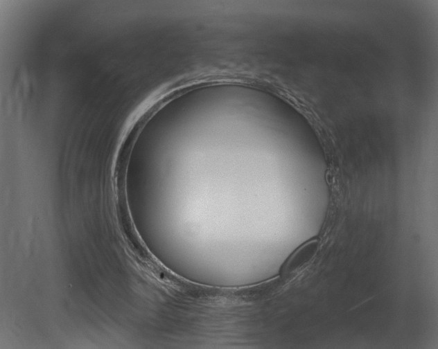 X0000081420246200701120952