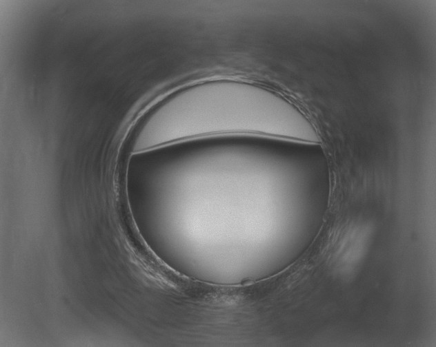 X0000081420247200701120952