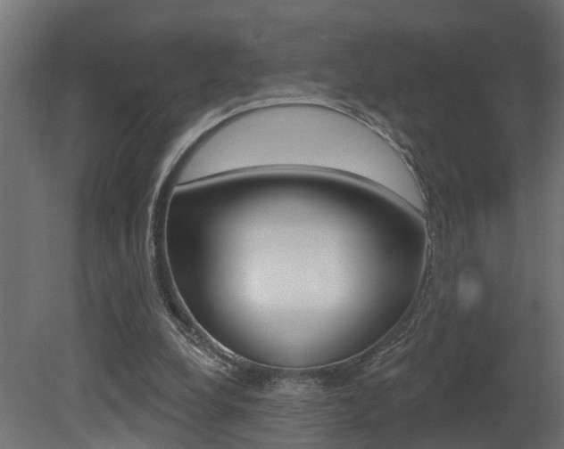 X0000081420248200701120952