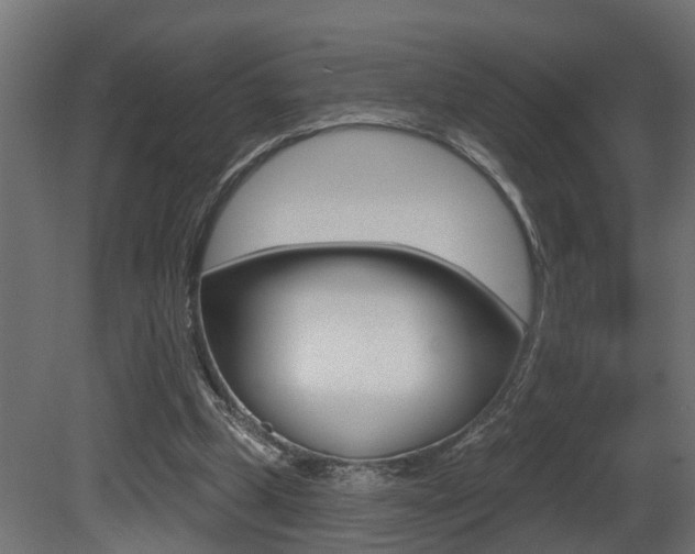 X0000081420249200701120952