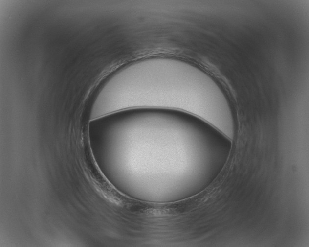 X0000081420250200701120952
