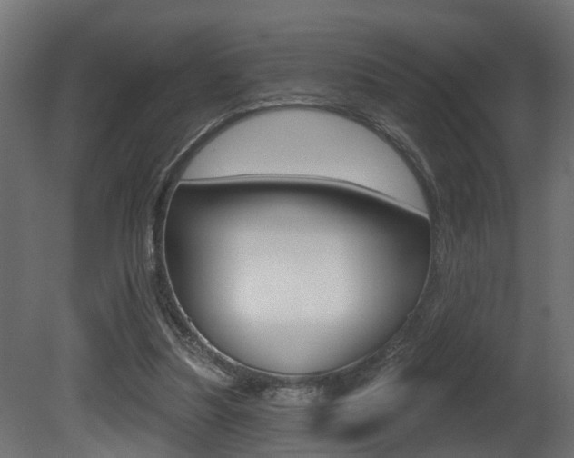 X0000081420251200701120952