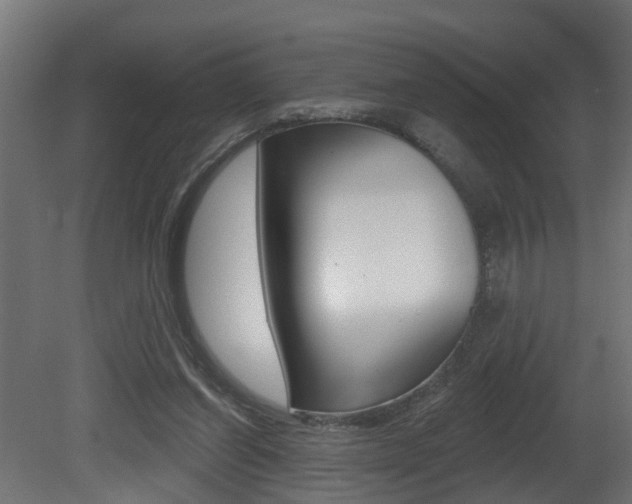 X0000081420254200701120952