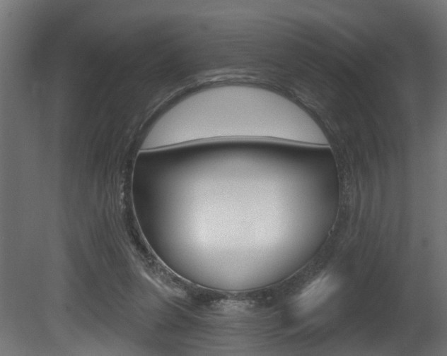 X0000081420255200701120952
