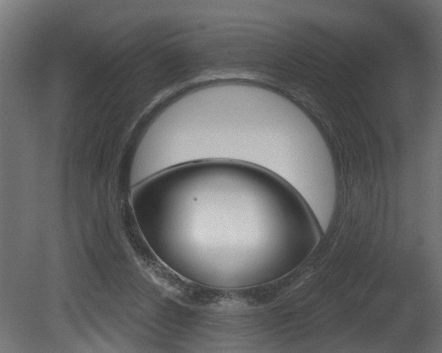 X0000081420256200701120952