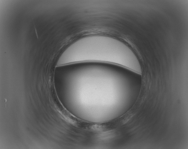 X0000081420261200701120952