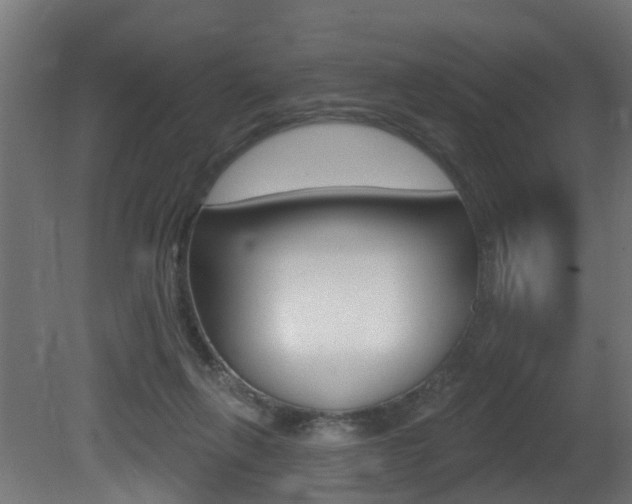 X0000081420263200701120952