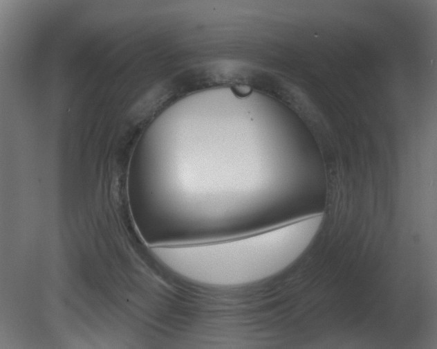 X0000081420266200701120952