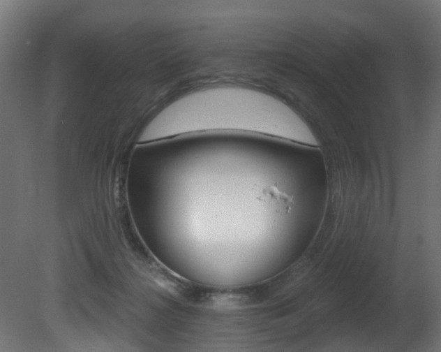 X0000081420268200701120952