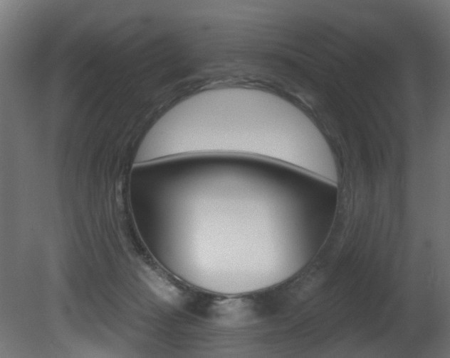 X0000081420269200701120952
