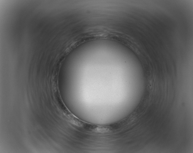 X0000081420270200701120952