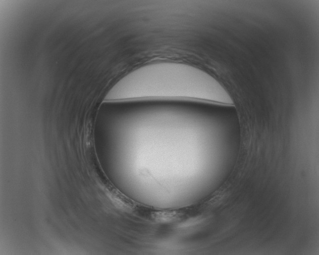 X0000081420273200701120952
