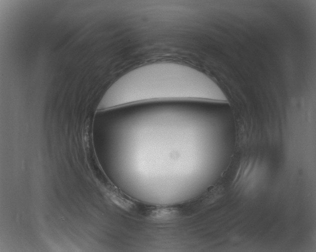 X0000081420274200701120952