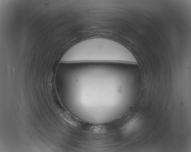 X0000081420275200701120952