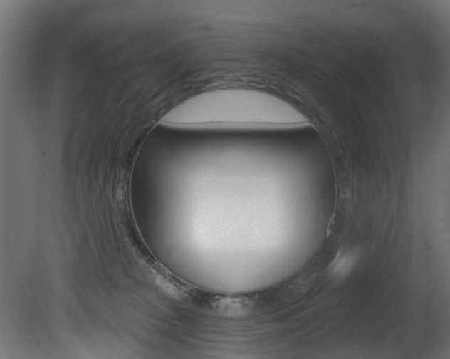 X0000081420277200701120952