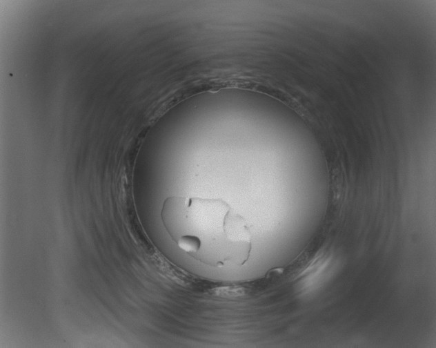 X0000081420279200701120952