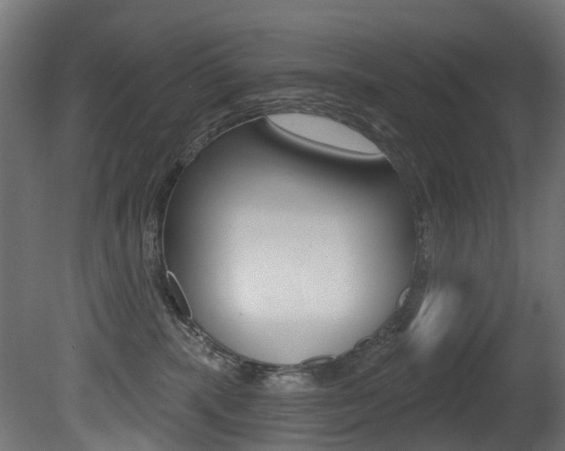 X0000081420283200701120952