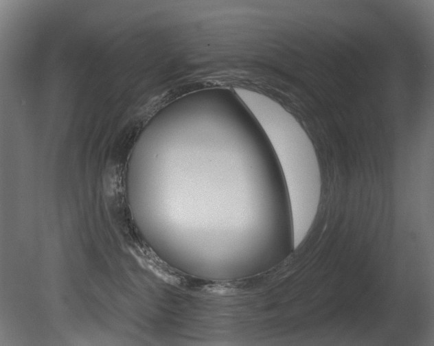 X0000081420284200701120952
