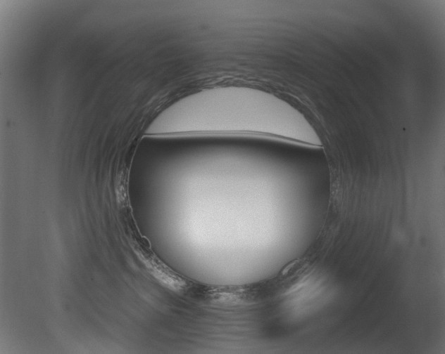 X0000081420285200701120952