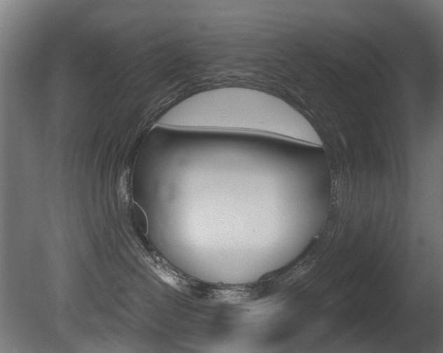 X0000081420286200701120952