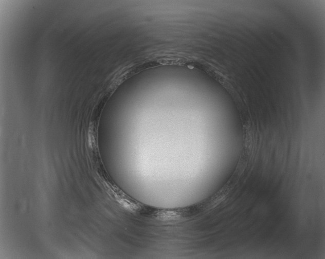 X0000081420287200701120953