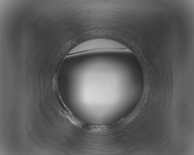 X0000081420288200701120953
