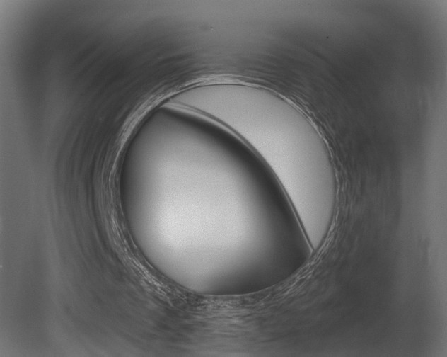 X0000081420289200701120952