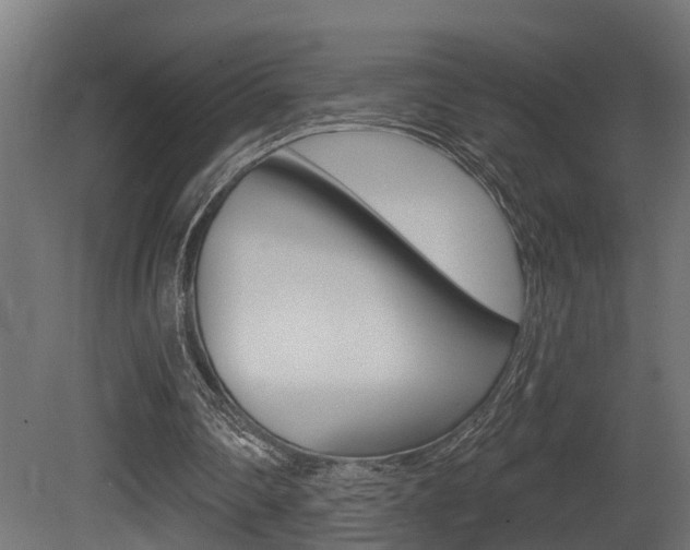 X0000081420290200701120952