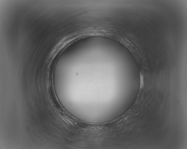X0000081420291200701120952