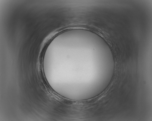 X0000081420294200701120952
