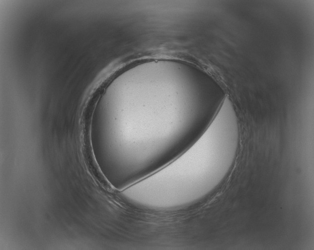 X0000081420295200701120952