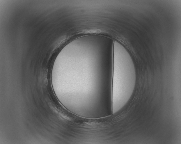 X0000081420300200701120952