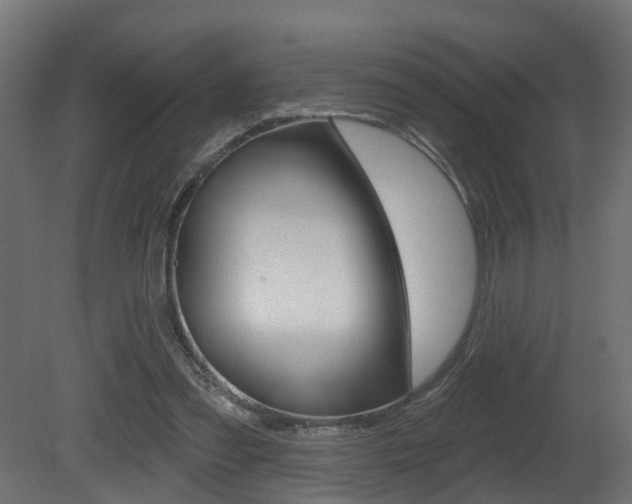 X0000081420301200701120952