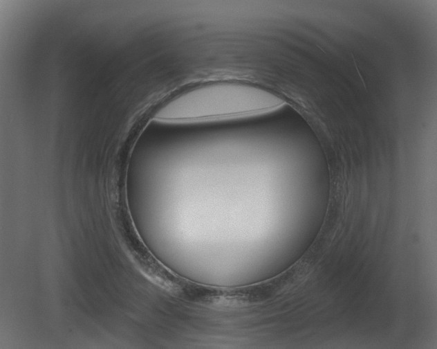 X0000081420303200701120951