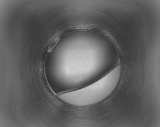 X0000081420305200701120951