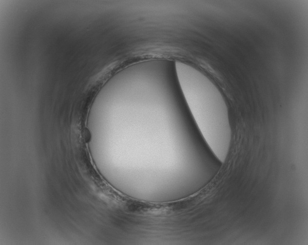 X0000081420306200701120951