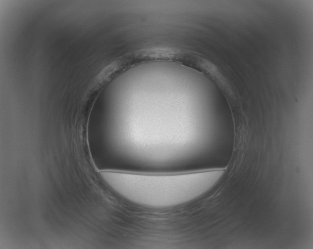 X0000081420309200701120951