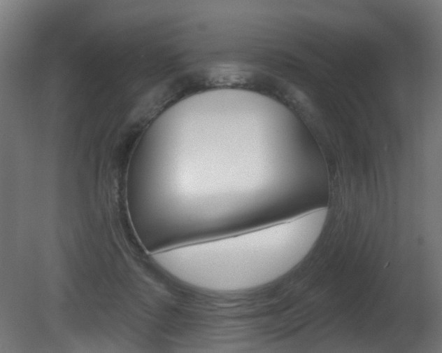 X0000081420315200701120951