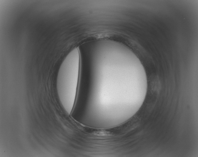 X0000081420316200701120951